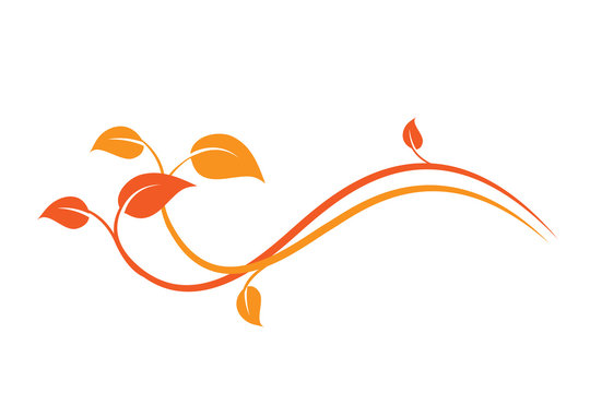 Elemento floreale decorativo arancione, ramo rampicante di edera con foglie 