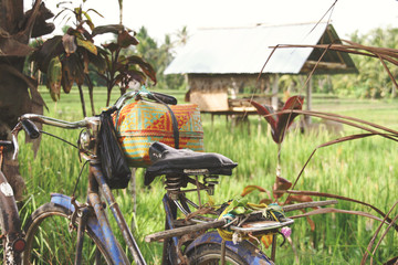 バリ島 ウブド 棚田