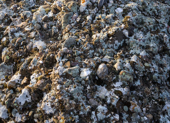 natural stone from cemented pebbles