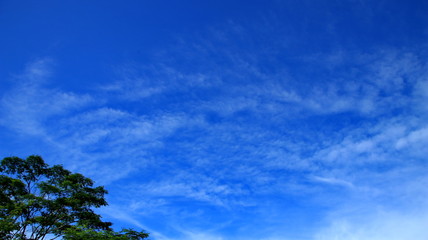 Obraz premium blue sky with cloud can be for backgrounds, designs and graphics