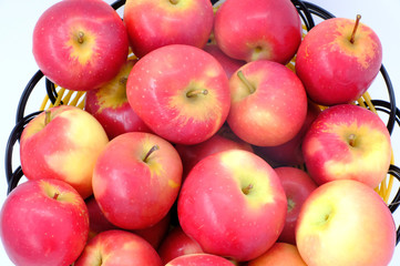 Rockit apple, A Hawke's Bay new Zealand apple, one of the best apple of New Zealand, New Zealand pride