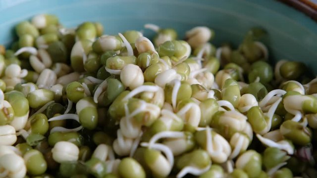 Sprouts or seedlings of mung beans in a bowl, close up. Vegan diet and healthy eating.