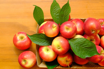 Rockit apple, A Hawke's Bay new Zealand apple, one of the best apple of New Zealand, New Zealand pride
