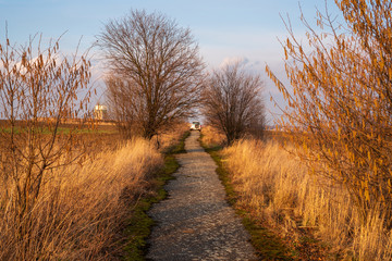 Obraz premium off-road car driving along a narrow road in the fields at sunset