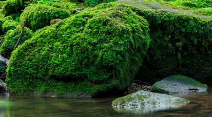 Kleiner Flusslauf mit grünen Steinen