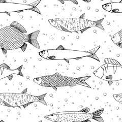 Seamless vector sketches of sea and river fish animal. Pike, carp, perch, sardine isolated fish sketch, sport or fish market theme. Prints for clothing, textiles, paper and web.