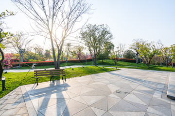 road in park