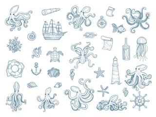 Marine illustrations. Octopus nautical set wild squid shells monster kraken vector hand drawn collection. Octopus monster, seafood and jellyfish illustration © ONYXprj