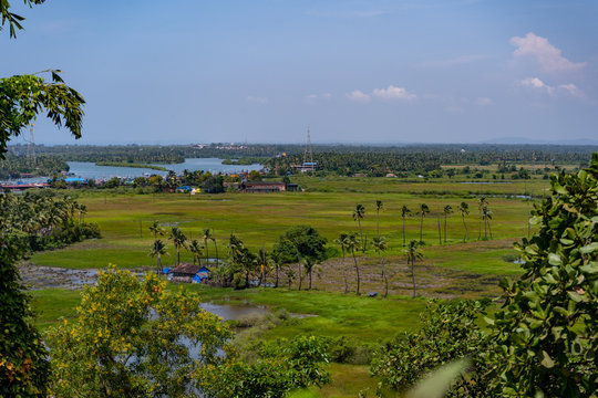 aerial panoramic view over the lush rich farm lands and backwaters of goa, india