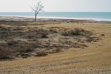 Берег Каспия