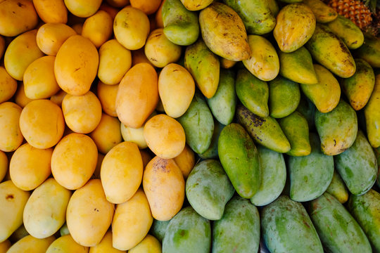 Fresh And Sweet Yellow And Green Organic Mangos, Holiday Season, Local Market Products. Street Thai Food, Lifestyle Background Photo, Thailand, Phuket