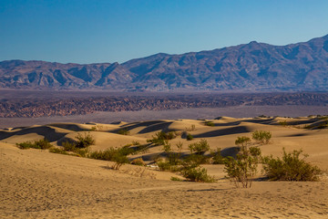 National parks usa southwest landscape of rocks and petrified sand dunes in NP Valley of Death (one of the warmest places on Earth)