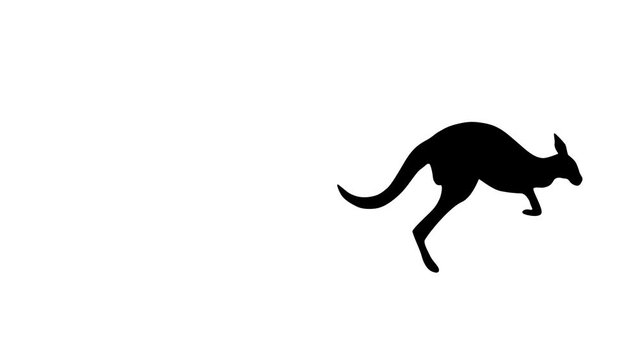 Jumping kangaroo, animation on the white background