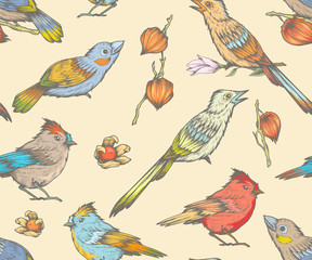 Seamless pattern with colorful birds