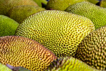 Raw jackfruit for sale on local street market in island Borneo, Malaysia. Tropical fruit, close up