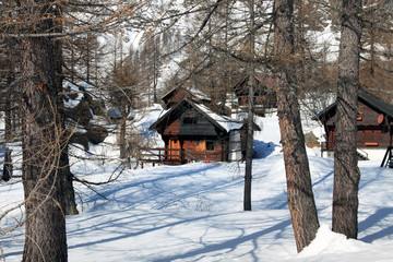 Devero Park ( Verbano-Cusio-Ossola ), Italy - January 15, 2017: Typical houses in the forest at Alpe Devero Park, Ossola Valley, VCO, Piedmont, Italy