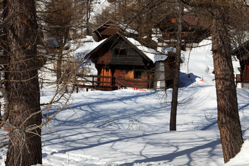 Devero Park ( Verbano-Cusio-Ossola ), Italy - January 15, 2017: Typical houses in the forest at Alpe Devero Park, Ossola Valley, VCO, Piedmont, Italy