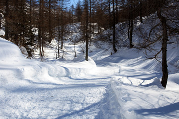 Devero Park ( Verbano-Cusio-Ossola ), Italy - January 15, 2017: The road to Crampiolo Village at Alpe Devero Park, Ossola Valley, VCO, Piedmont, Italy