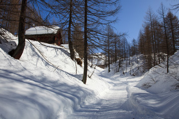 Devero Park ( Verbano-Cusio-Ossola ), Italy - January 15, 2017: The road to Crampiolo Village at Alpe Devero Park, Ossola Valley, VCO, Piedmont, Italy