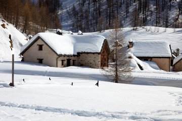 Devero Park ( Verbano-Cusio-Ossola ), Italy - January 15, 2017: Crampiolo village and houses in Alpe Devero Park, Ossola Valley, VCO, Piedmont, Italy