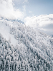 Paysage hivernal avec les sapins enneigés 