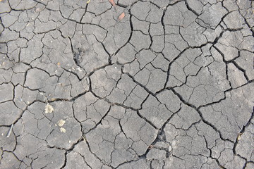 dry cracked earth