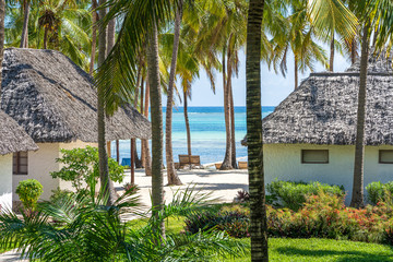 Tropical houses and coconut palm trees on a sand beach near the sea in sunny day on the island of Zanzibar, Tanzania, Africa