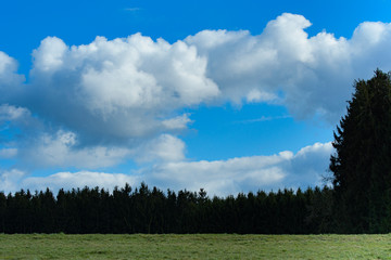 Wald, Wiese, Wolkenhimmel