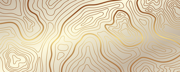 Luxury gold abstract topographic map background with golden lines  texture, 17:9 wallpaper design for fabric , packaging , web, geographic grid map vector illustration.