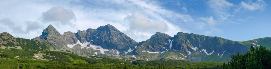 Fototapeta premium Mountain range against the sky and forest on foreground