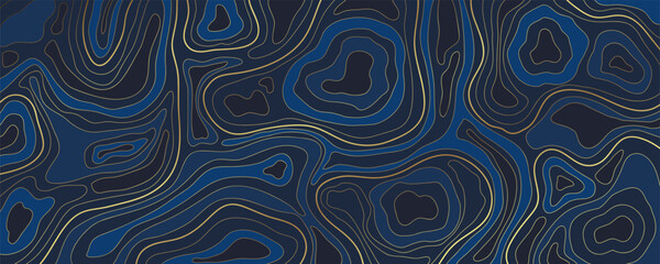 Luxury gold abstract topographic map background with golden lines  texture, 17:9 wallpaper design for fabric , packaging , web, geographic grid map vector illustration.