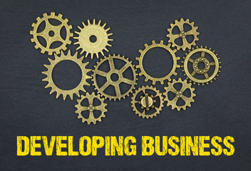 Developing Business 