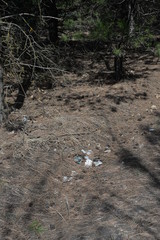environmental pollution of water, air, and land with plastic, polyethylene, rubber, and glass debris