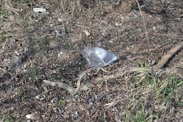 environmental pollution of water, air, and land with plastic, polyethylene, rubber, and glass debris