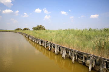 Po river (FE),  Italy - April 30, 2017: A canal near the Po river view from a tourist boat, Delta Regional Park, Emilia Romagna, Italy