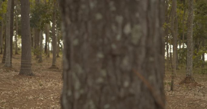 Amazing Hindu Bride and Groom in traditional wedding atttire video shoot on Blackmagic Pocket Cinema Camera