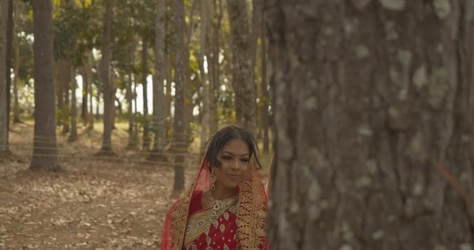 A couple in Traditional Indian Bridal wear video shoot with sun rays peaking through the pine forest