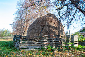 bench in the park