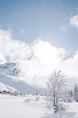 Les Sapins Sous La Neige à la montagne