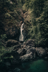 Obraz premium waterfall in deep forest