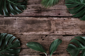Flat lay creative frame of tropical nature leaves (Monstera palmrubber plant, pine, bird’s nest fern )on rustic wood grunge background with retro , tropical jungle vacation and travel concepts. 