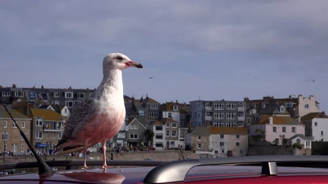 St Ives Cornwall holiday vacation England UK 4K