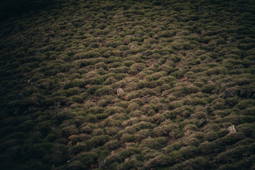 aerial view of landscape