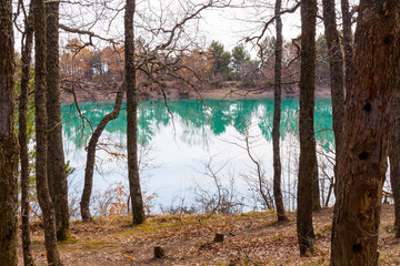 Forest lake shore view. Spring forest lake shore panorama