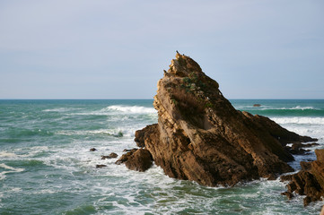 Coastline of Biarritz, Pyrenees Atlantiques, Aquitaine, France