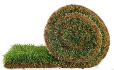 C&eacute;sped fresco fotografiado sobre fondo blanco en estudio