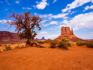 National parks usa southwest area of giant rock formations and table mountains in Monument Valley