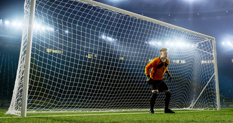 Goalkeeper is trying to save from a goal on an empty soccer stadium. No spectators on the tribunes. Stadium is made in 3d.