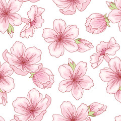 Sakura graphic flower pink color seamless pattern background sketch illustration vector