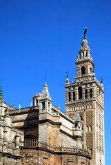 Fototapeta na wymiar View of the Cathedral and Giralda Tower, Seville, Spain.